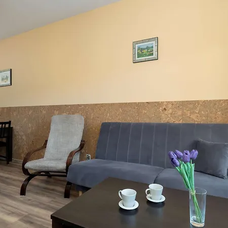 Z Parkingiem & Balkonem Domowa Atmosfera W Gorskiej Scenerii By Renters דירה ויסלאו